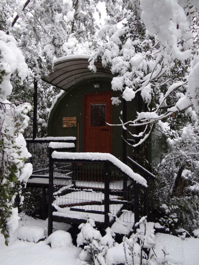 Hotel Huincaterra Villarrica Exteriér fotografie